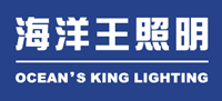 海洋王